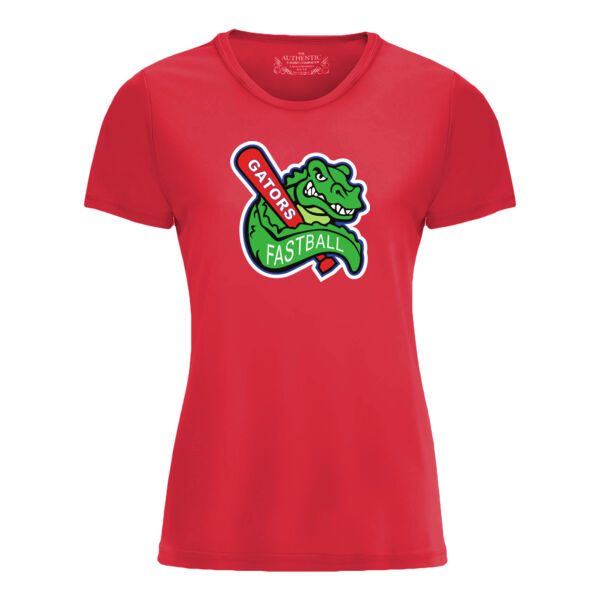 Ladies dri fit tee Thumbnail
